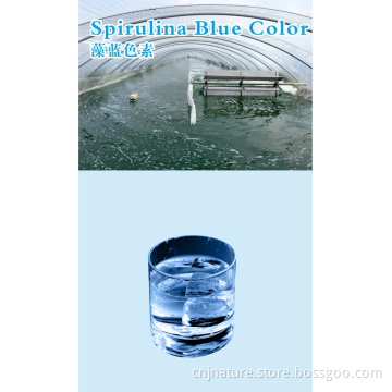 Spirulina blue color